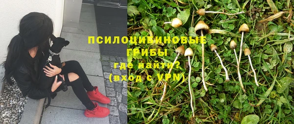 наркотики Михайловка