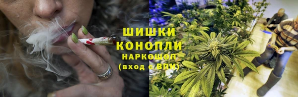 трава Михайловск