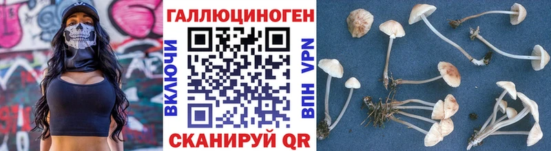 hydra зеркало  Новокубанск  Псилоцибиновые грибы Psilocybe 